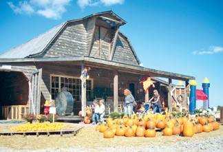 Local News Shirley Farms Opens Its Pumpkin Barn For Fall Fun 10